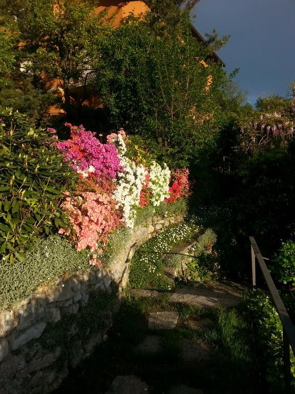 Casa Vacanze Le Violette Villa Brunate Luaran gambar
